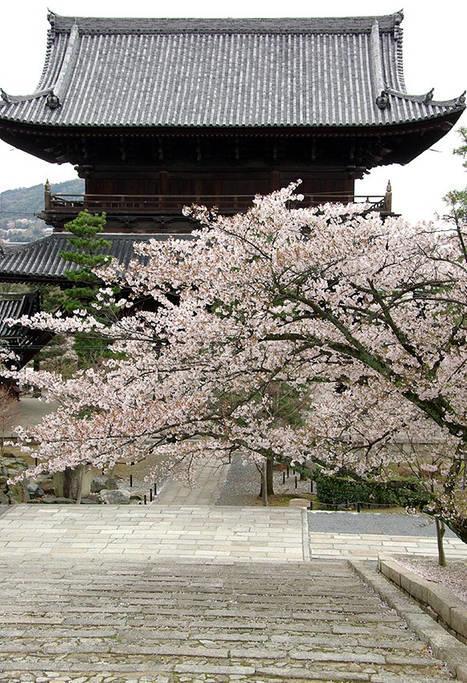 Villa Nanako House à Kyoto Extérieur photo